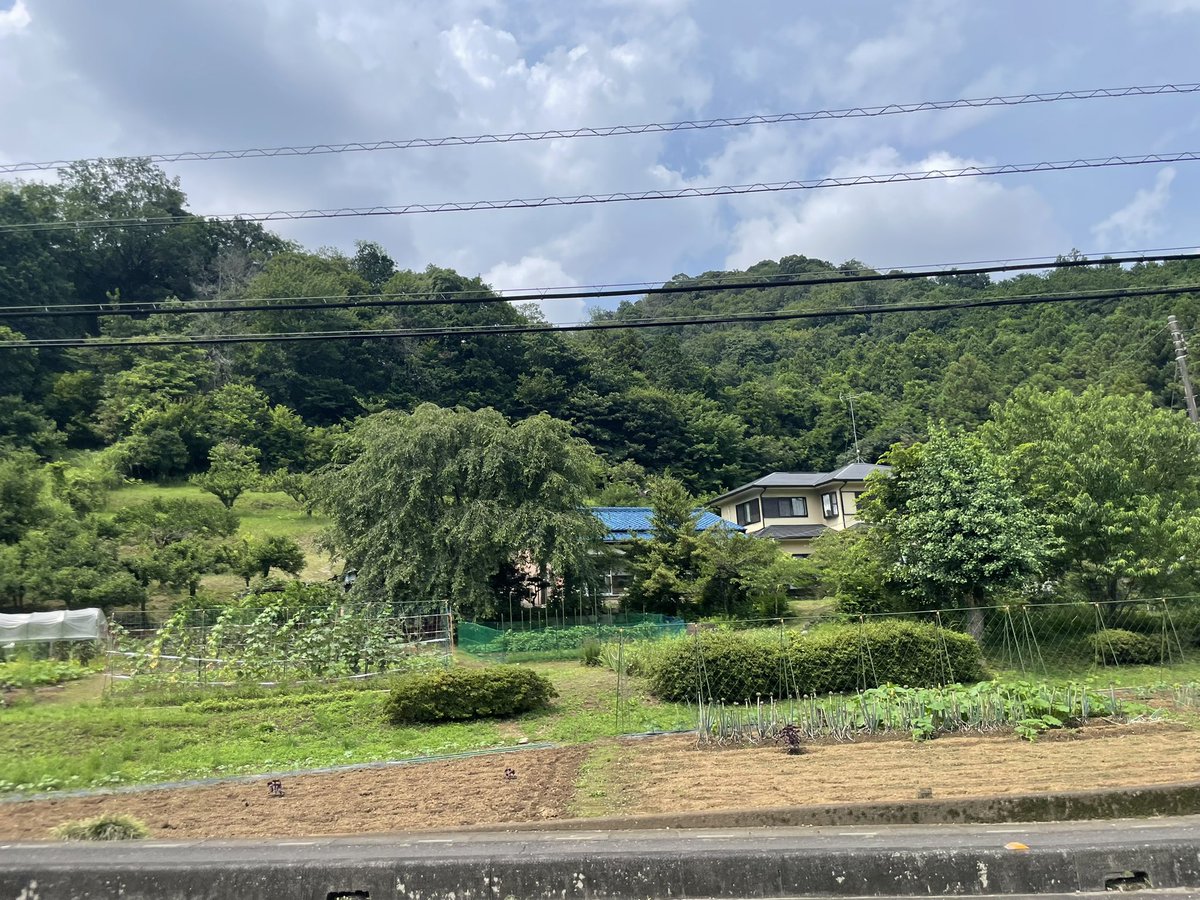 YukkyVC's tweet photo. 大類氏館、宿谷氏館、多和目城、大谷木氏館 https://t.co/xMmC4Ubm4S