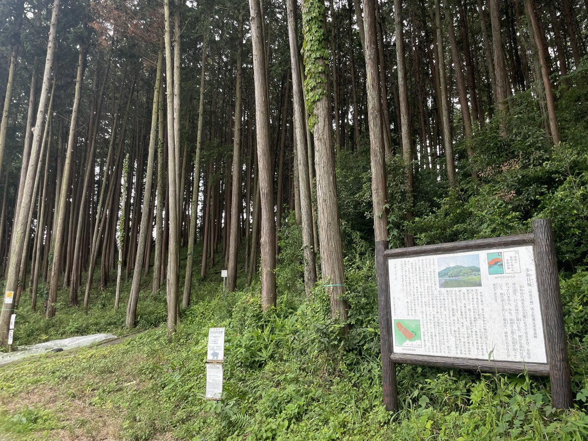 YukkyVC's tweet photo. 大類氏館、宿谷氏館、多和目城、大谷木氏館 https://t.co/xMmC4Ubm4S