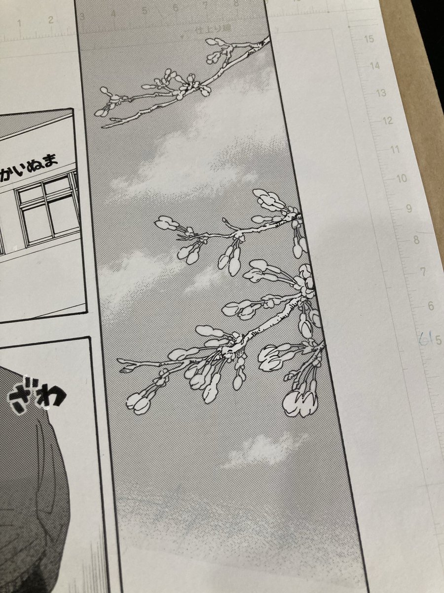 minoriginger's tweet photo. 今回、桜がちょこちょこ出てくるんですが🌸
桜うまーい、植物好きだもんねー。と友人達が褒めてくれました。
そうか、好きこそ物の上手なれか。昔描いた読み切りで簪を描いたときも褒められたな。アクセサリーのデザイナーしてたもんな。
次、別の連載するときはそういうことも念頭に入れるといいのかもしれないな。
#アナログ