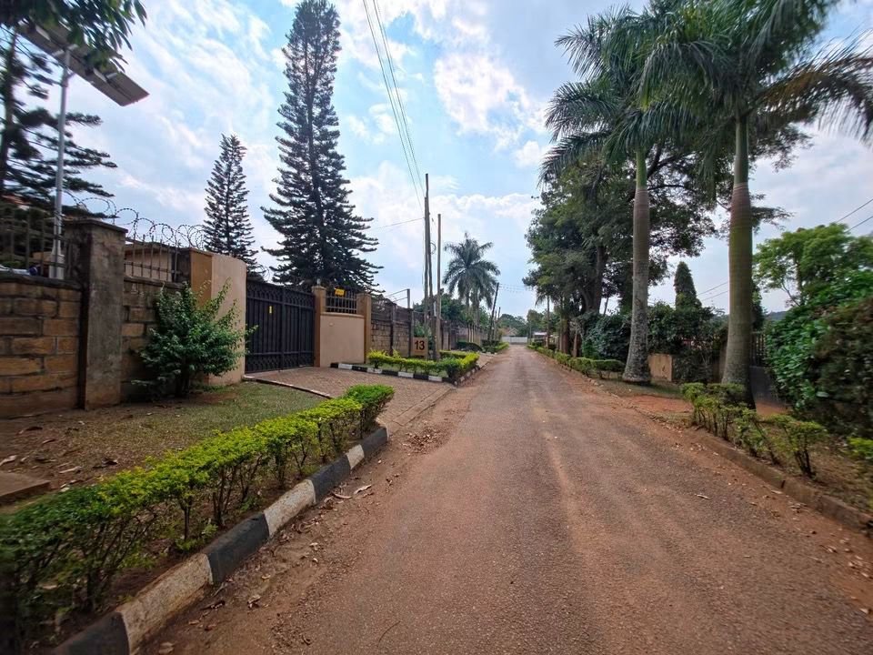 kainosExploits's tweet photo. Kyambogo - 60 decimals - 1.2 billion

Old bungalow on a well located plot

Can host 3 or 4 new apartment blocks 
 +256 776 533 521 https://t.co/bHEoLsYBxZ
