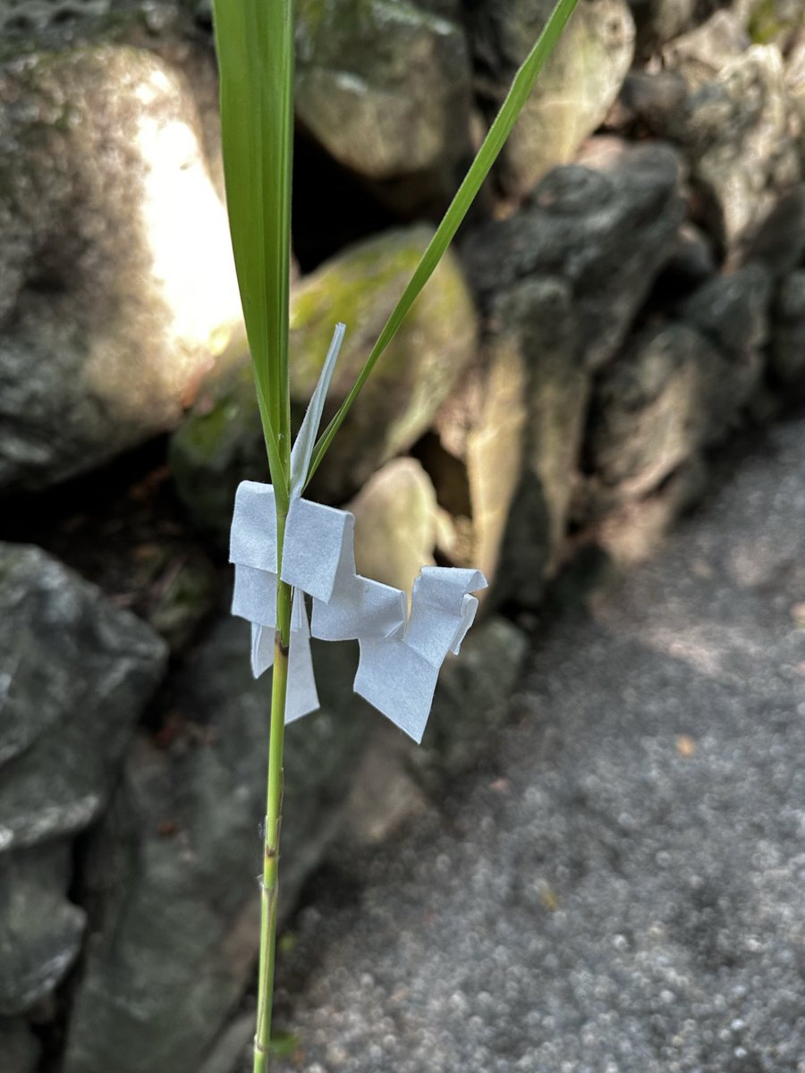 o_OEmotions's tweet photo. #夏越の大祓　#熱田神宮 https://t.co/AOM6b2YSAa