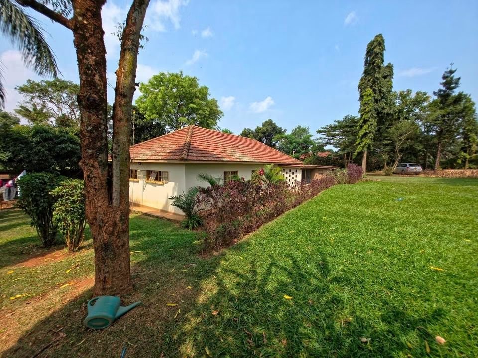kainosExploits's tweet photo. Kyambogo - 60 decimals - 1.2 billion

Old bungalow on a well located plot

Can host 3 or 4 new apartment blocks 
 +256 776 533 521 https://t.co/bHEoLsYBxZ