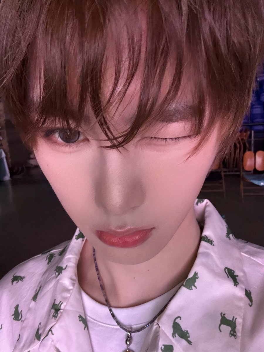 wonxinau's tweet photo. 🐱 : gift~ https://t.co/3uo9Yy0hjQ