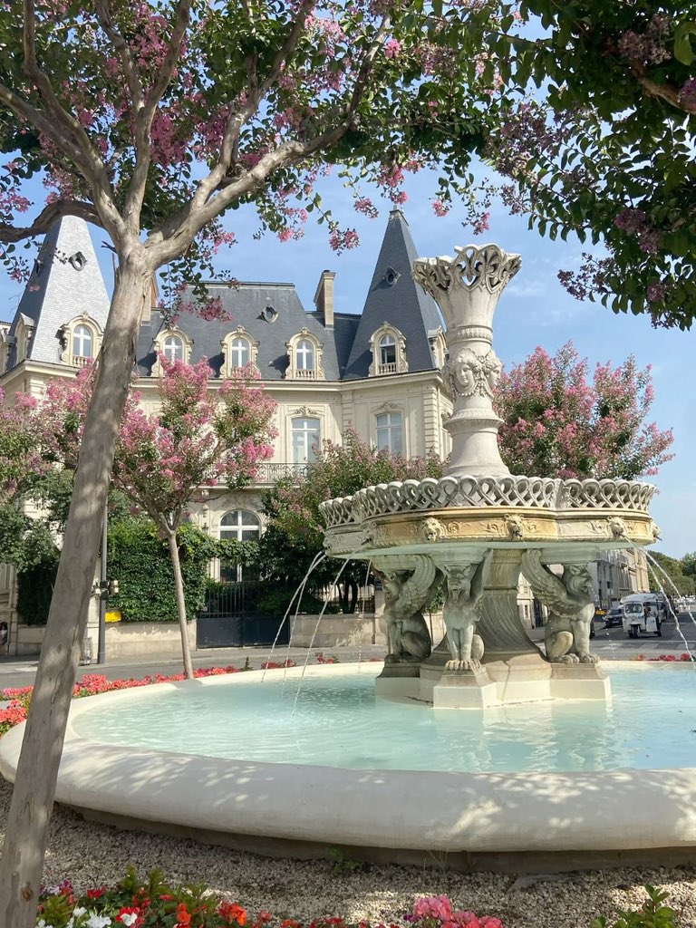 _Naturaee's tweet photo. take me to Paris https://t.co/ZjeydF8Z85