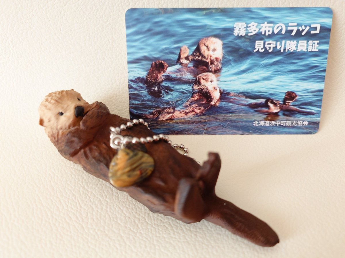 akimaru17's tweet photo. 霧多布のチシマラッコキーホルダー届きました🎵かなりリアルな造りです👍　
ちびメイちゃんキラちゃんに加えて可愛いラッコ仲間が増えたよ😀
#ラッコ https://t.co/zqxiSrnoAN