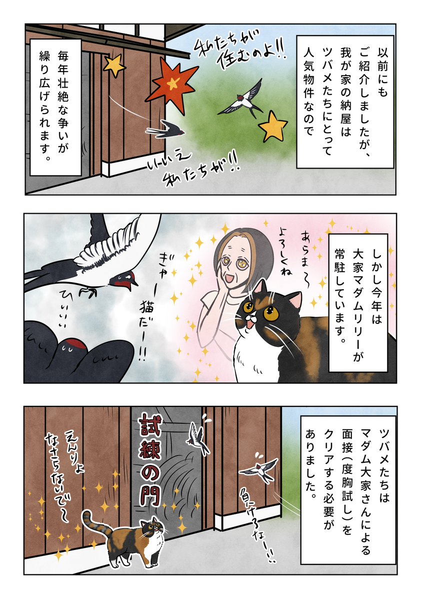 kansabi_kk's tweet photo. マダムの新しいお話です🌹
今日は大家さんなマダムです🌹1/2
#猫と暮らす生活 https://t.co/kUdJbwKXMm
