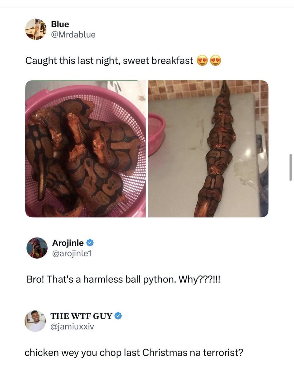 blizzstilldey's tweet photo. 😂😂😂😂😂😂😂😂😂😂😂😂😂😂 https://t.co/uHxy4sFwJl