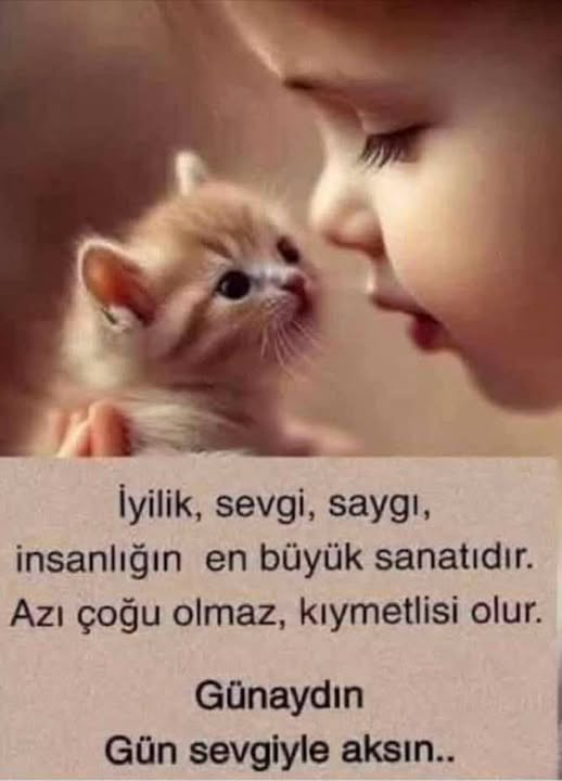 alp_all's tweet photo. https://t.co/ZFAEky3Bf9