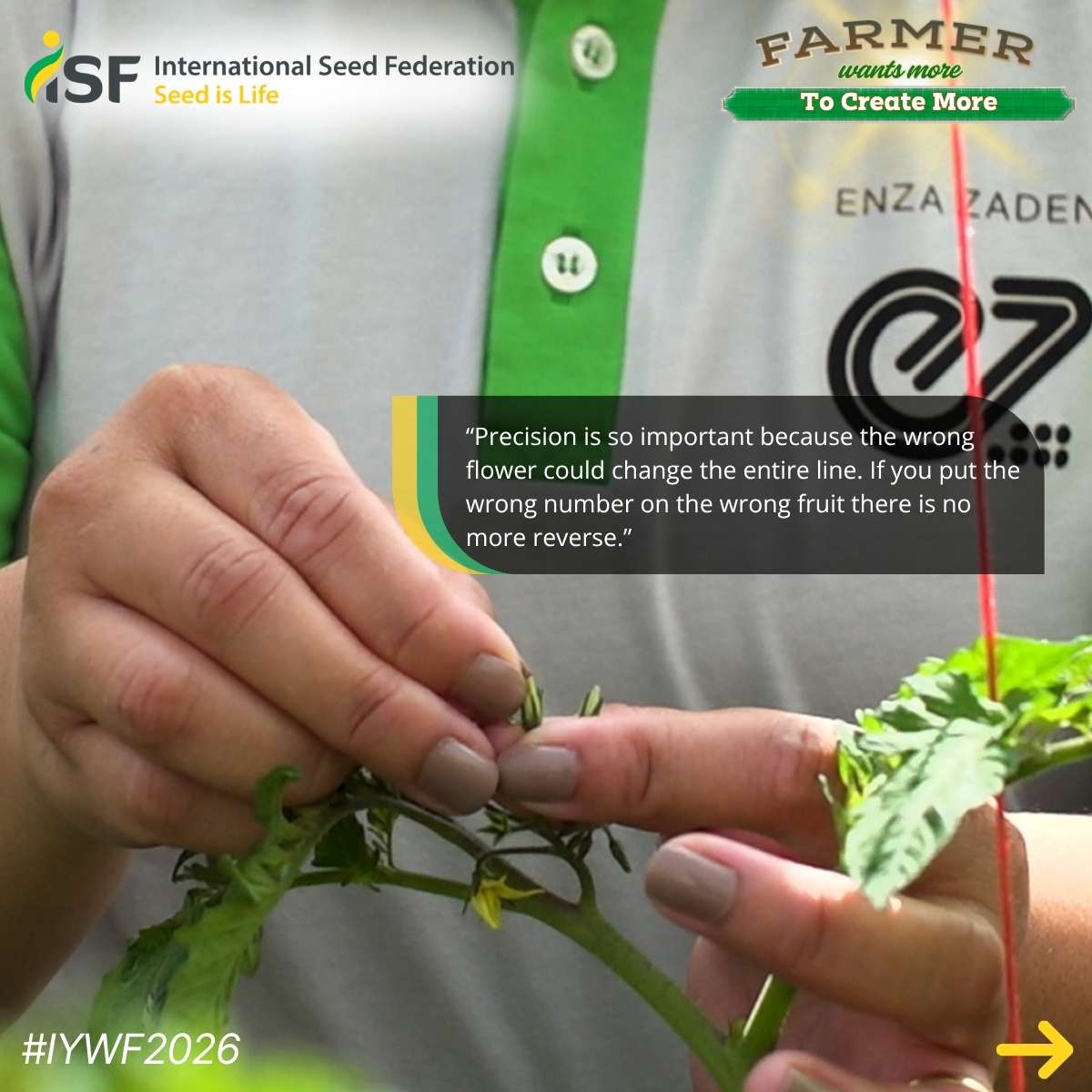 International Seed Federation tweet media