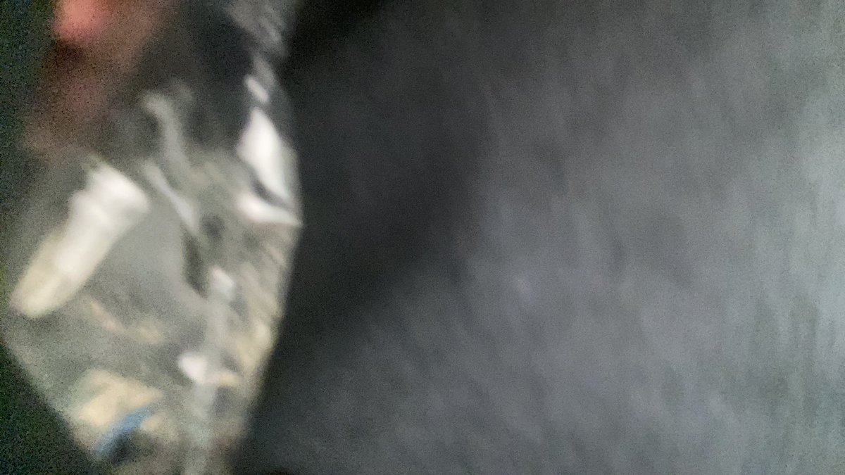 pemus27's tweet photo. theres a fish in my pocket https://t.co/Ya1KQrDefZ