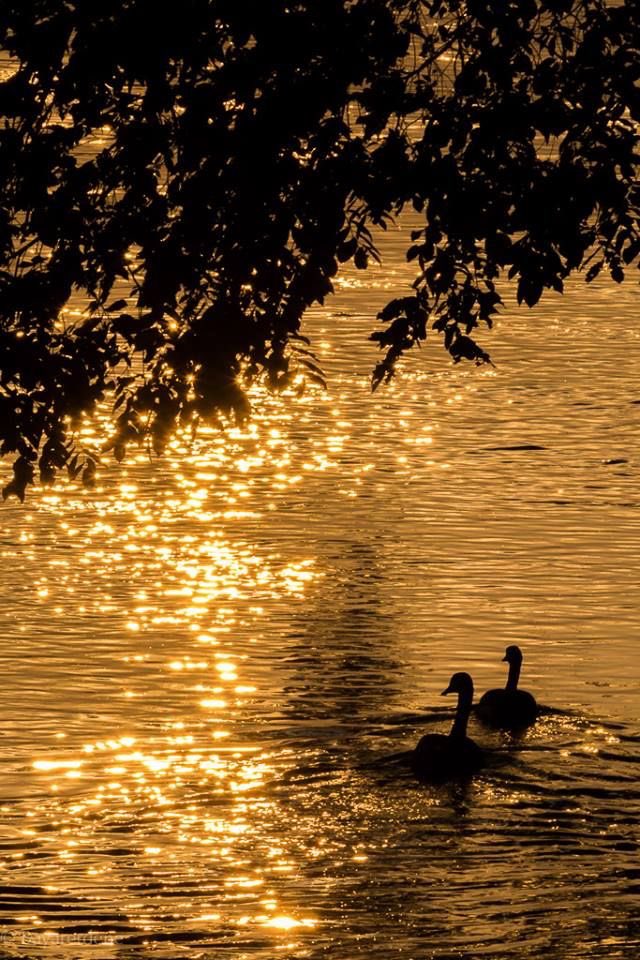 _Naturaee's tweet photo. I love sunsets and sea https://t.co/iwG3OzQShM