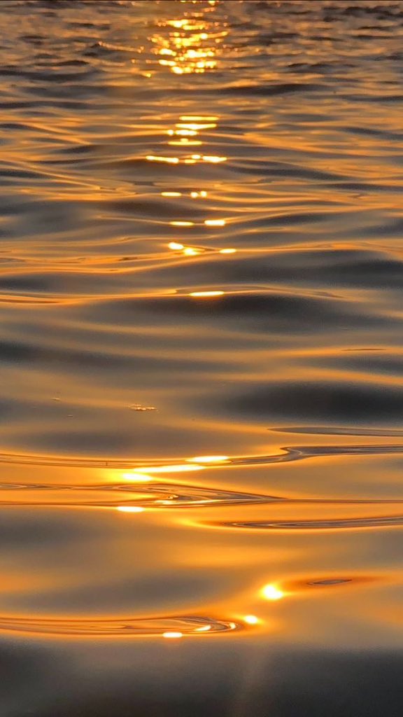 _Naturaee's tweet photo. I love sunsets and sea https://t.co/iwG3OzQShM