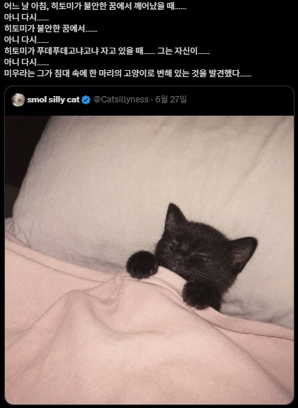 10199mm's tweet photo. 아무튼 이게 키미야 #uhavenochoice #acceptthefate https://t.co/R7chWKo88Z