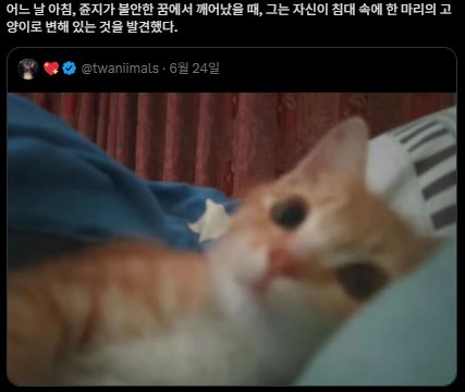 10199mm's tweet photo. 아무튼 이게 키미야 #uhavenochoice #acceptthefate https://t.co/R7chWKo88Z