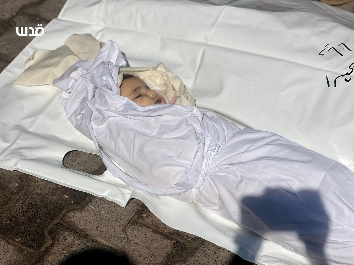 ahmedshameya995's tweet photo. Israel killed the baby "Sewar" at night in Gaza.

She was Just A Toddler. https://t.co/b1Pod3jWdD