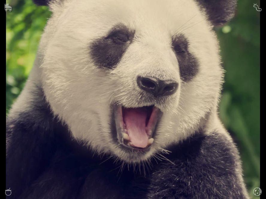 tarikgok's tweet photo. 我和兄弟一起玩多米诺骨牌。当我们转过弯看到瀑布时，我的朋友惊讶地捂住嘴巴。“太美了，”她感叹道。我笑着点头回应：“我早就告诉过你了，”心中充满了与她分享这一时刻的自豪感。 https://t.co/shLbDOwRoB