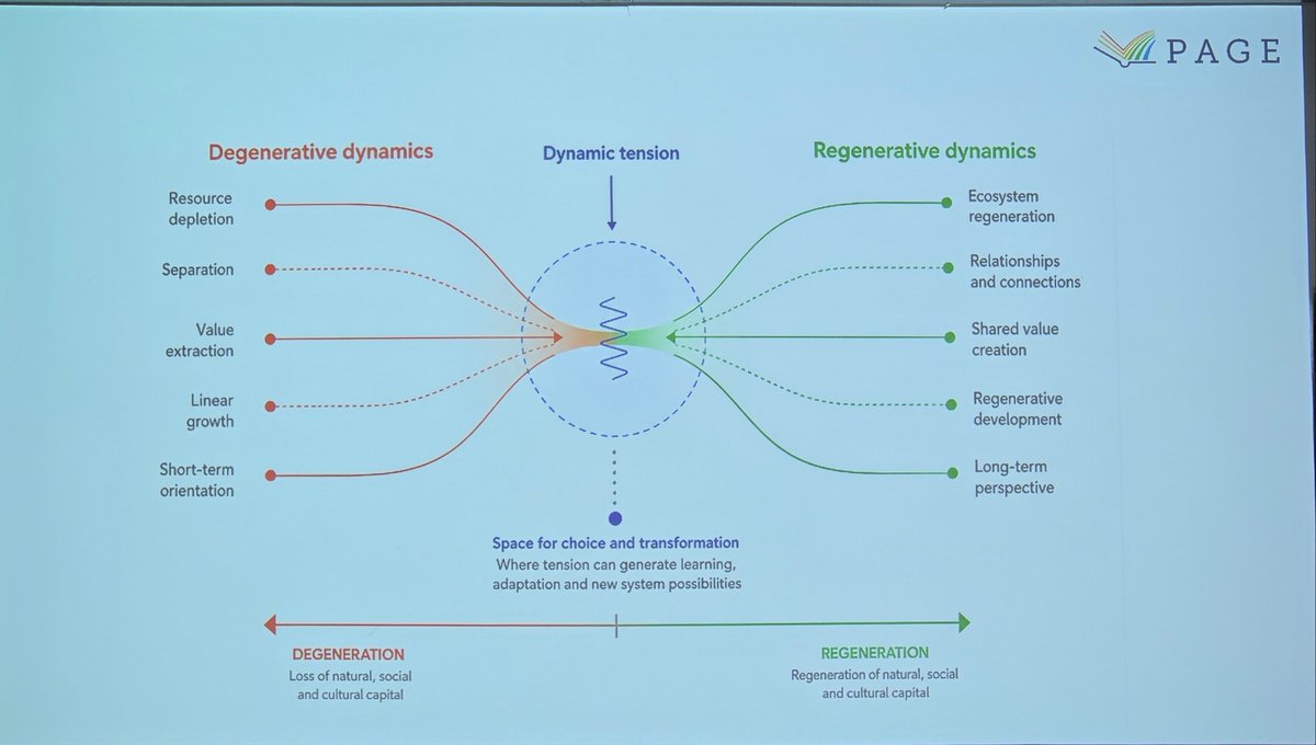 dav_rizzo's tweet photo. #IFSA2026 day1 🧵/6

Gianluca Brunori closes his keynote about the desired shift from dégénérative to regenerative trends and the need to create the sociotechnical context for family farming to thrive

His schemes are quite effective! https://t.co/pCKZxzUuVV