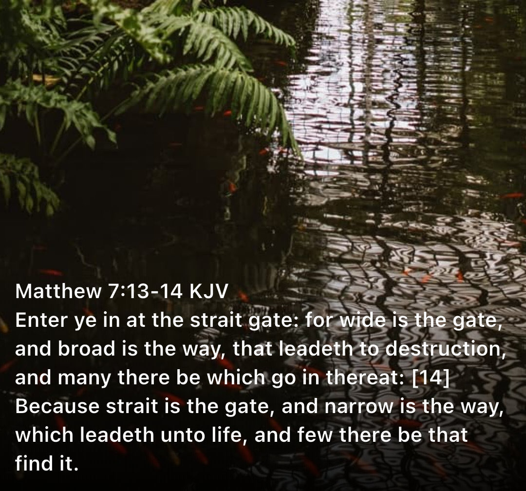 neumarine's tweet photo. Believing in JESUS is the only way to the Kingdom of GOD. HE is the gate only a few will find it. https://t.co/IPuPxO1jdF
