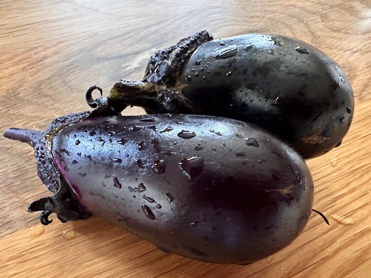 なすび🍆収穫。 嬉しい 感謝