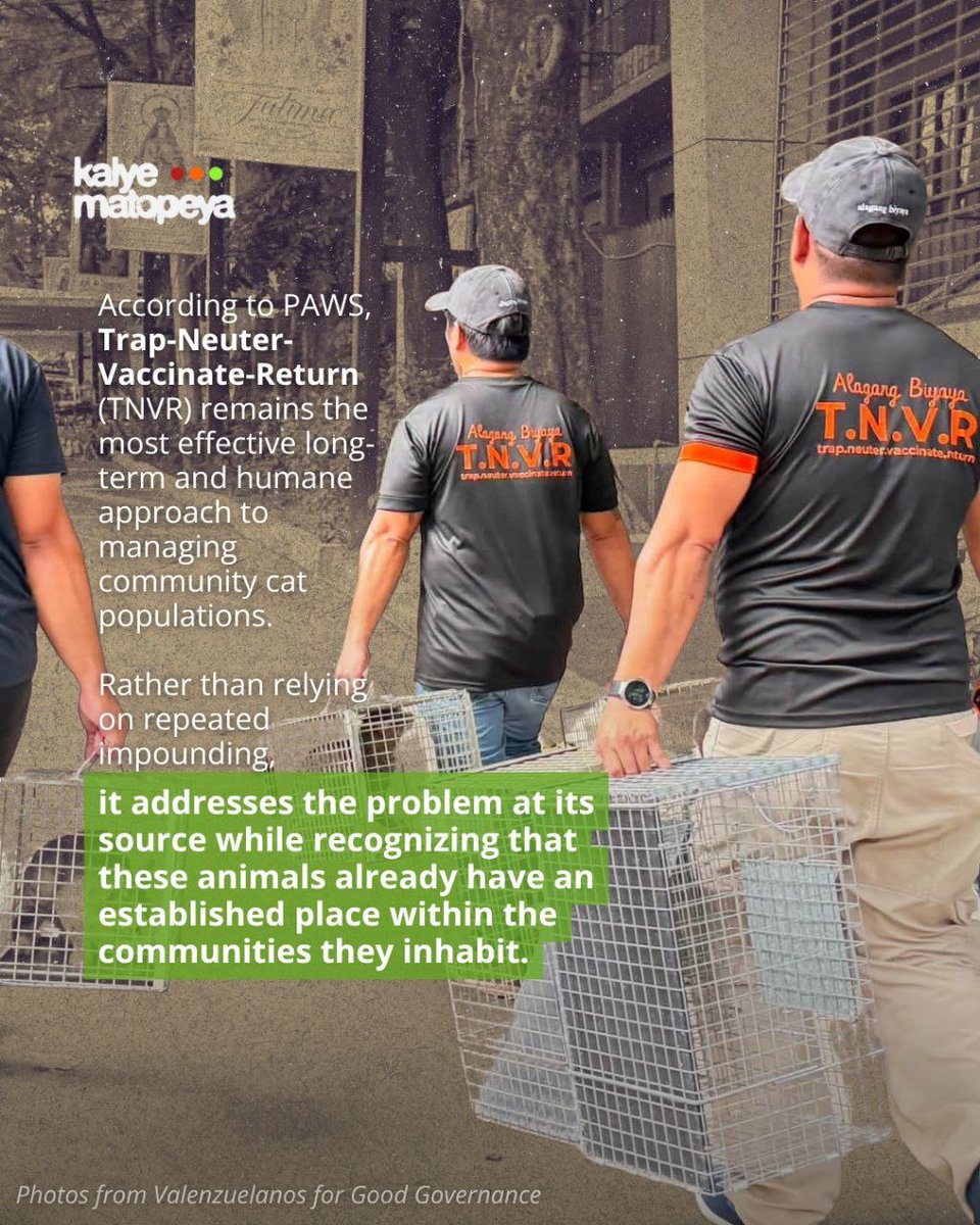 kalyematopeya's tweet photo. Not all those who wander are lost. Sometimes, they are community animals navigating the streets they have called home—waiting to be seen, protected, and cared for.
Words and photos by Maicah Rachel Eugenio
Design by Glaciane Lacerna
#KalyematopeyaMagazine
#iCommunicate31 https://t.co/1X7AHUkoUp