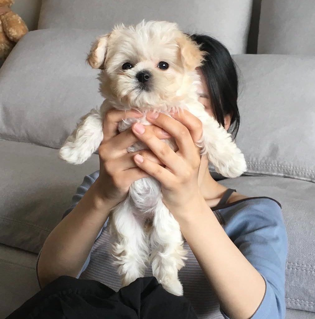 myujimin_'s tweet photo. พี่น่าเซด หน้าเหมือนแม่เลยนะแกเนี่ย 555555555555 https://t.co/VOJprQCFuF