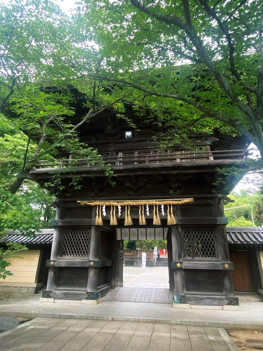 香椎宮、風鈴の夕べ Wind Chimes, Kashii Shrine ⛩️🎐