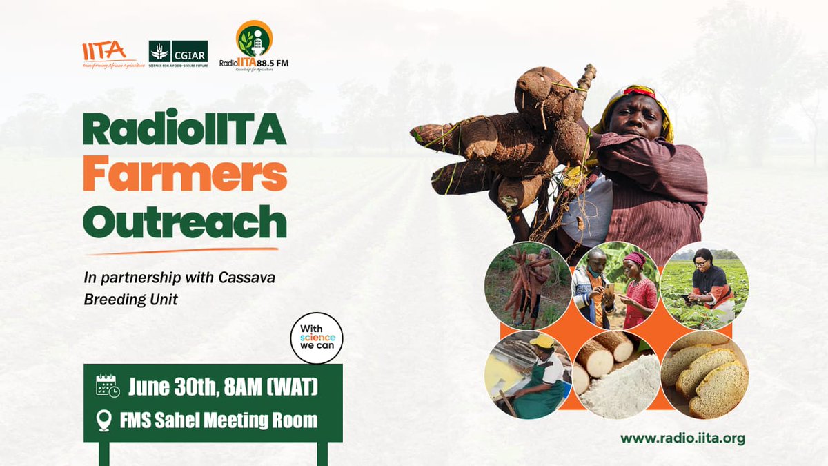 IITACASSAVAUNIT's tweet photo. We are minutes away from #RadioIITAFarmersOutreach as attendees from the Cassava Breeding Unit take their seats.
#IITA #WithScienceWeCan #CassavaBreeding
Watch event live here: https://t.co/ZuXuDzLONo https://t.co/jVXa3K74VB