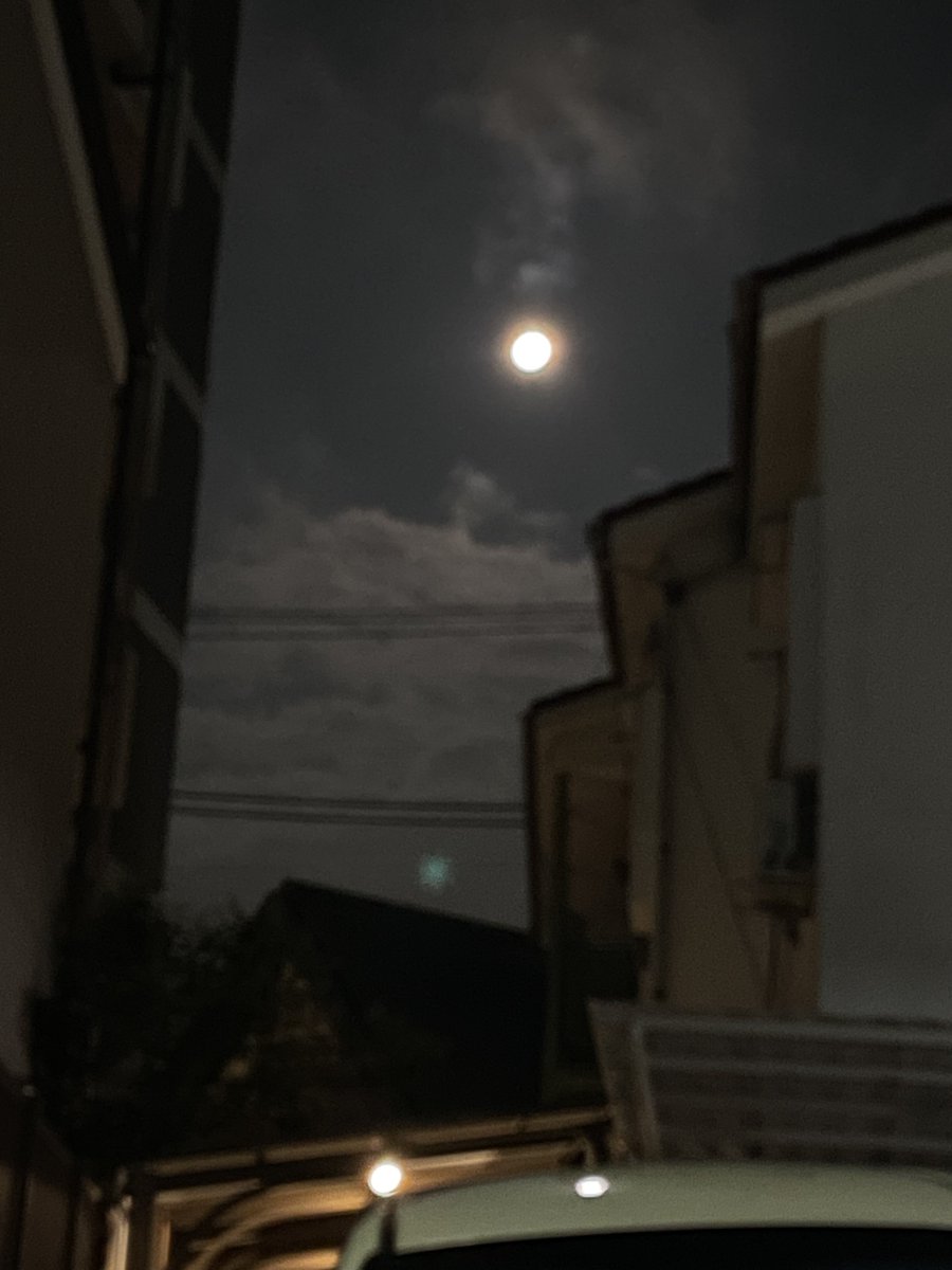 KcoAne's tweet photo. 27日に大阪大鳥大社にお邪魔して夏越の祓（なごしのはらえ）を通りましたが通り方調べて行けば良かったーーーありがたい思いばくばくしてましたが……お許しを。昨夜今日になってからの満月🌕にも手を合わせて私と息子と友人たちと大好きなバンド方々の幸せをお祈りしました🙏🙏🙏明日から7月ですね！いい事ありますよーーー