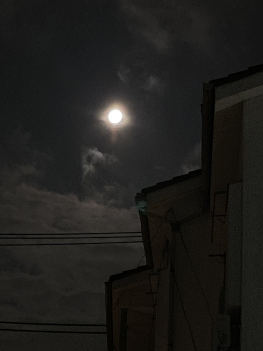 KcoAne's tweet photo. 27日に大阪大鳥大社にお邪魔して夏越の祓（なごしのはらえ）を通りましたが通り方調べて行けば良かったーーーありがたい思いばくばくしてましたが……お許しを。昨夜今日になってからの満月🌕にも手を合わせて私と息子と友人たちと大好きなバンド方々の幸せをお祈りしました🙏🙏🙏明日から7月ですね！いい事ありますよーーー