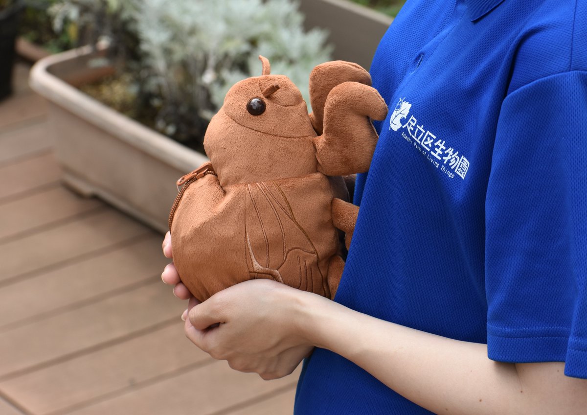 seibutuen_info's tweet photo. ＼セミの抜殻からセミ！／
セミの幼虫が羽化する！リバーシブル仕様のぬいぐるみが新登場。
羽化したての柔らかい翅や薄い体色もリアルです。
https://t.co/6RlM69kTbQ

とっても大きいサイズで存在感がすごい！
夏の子どもたちにモテモテ間違いなしの昆虫ぬいぐるみをお楽しみください。
#生物園オンラインショップ
#セミ #足立区生物園