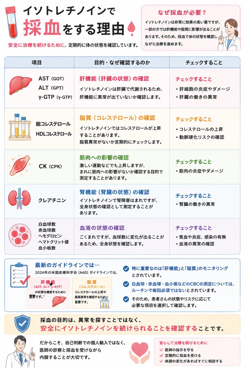 imaikazuomi_dr's tweet photo. 【イソトレチノインで採血する項目】

「なぜ定期的に採血するの？」

それは安全に治療を続けるためです。

イソトレチノインは非常に効果の高い薬ですが、一部の方では肝機能や脂質に影響が出ることがあります。

そのため、採血で体の状態を確認しながら治療を進めます。

✅ AST・ALT・γ-GTP

肝機能（肝臓の状態）

イソトレチノインは肝臓で代謝されるため、肝機能に異常が出ていないか確認します。

✅ 総コレステロール・HDLコレステロール

イソトレチノインでは脂質異常、コレステロールが上昇することがあります。

✅ CK（CPK）

筋肉への影響

まれに筋肉への影響がないか確認するために測定することがあります。

✅ クレアチニン

腎機能の確認

腎臓への影響はまれですが、全身状態の確認として測定することがあります。

✅ 白血球・赤血球・ヘモグロビン・ヘマトクリット・血小板

血液の状態

血液の状態や全身状態を確認する目的で測定されることがあります。

採血の目的は、異常を探すことではなく、安全にイソトレチノインを続けられることを確認すること。

だからこそ、自己判断での個人輸入ではなく、医師の診察と採血を受けながら内服することが大切です。