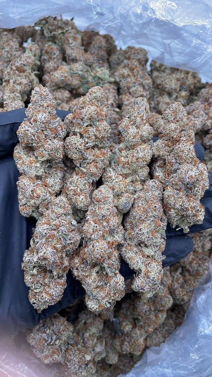 mancheste_plug's tweet photo. Weed In Manchester whips London Manchester plug  England weed weed in Leicester city weed Birmingham weed England weed Nottingham weed leeds weed plug weed carts vapes Xanax UK weed ukplug  weed Manchester Birmingham london sheffield brighton glasgow coke aberdeen dundee leeds uk https://t.co/Icp7ygZVdM