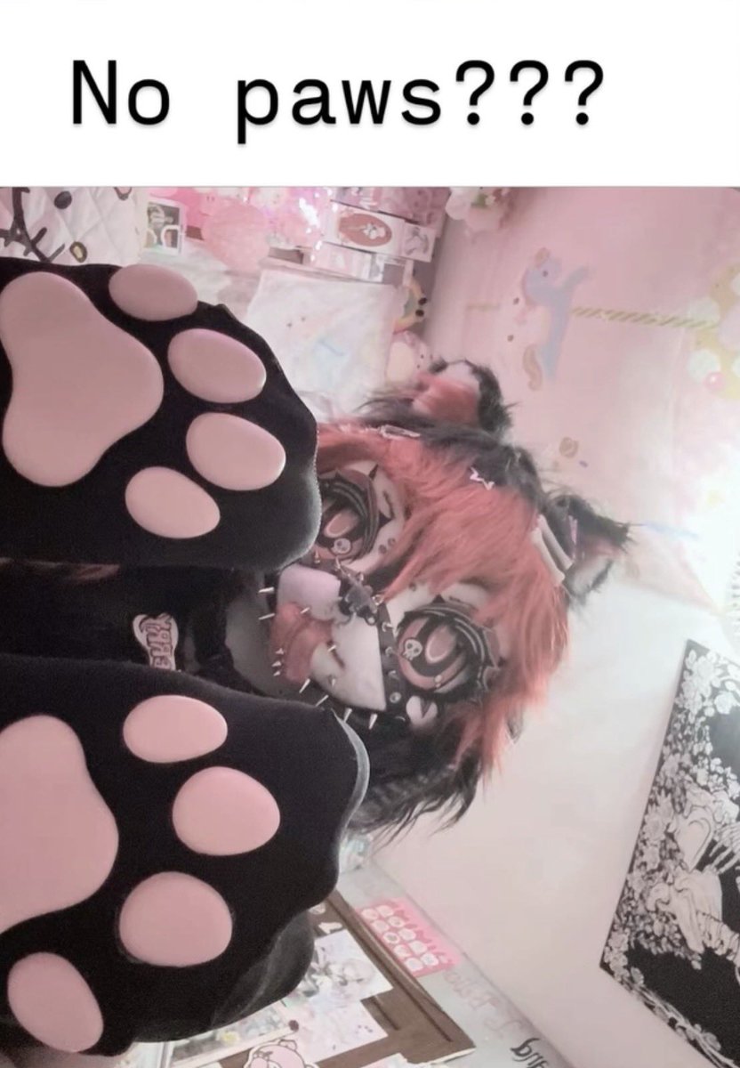 cherryemodog's tweet photo. No paws ? #furry #furryartㅤㅤㅤ #fursona https://t.co/8NlmmKq3Va