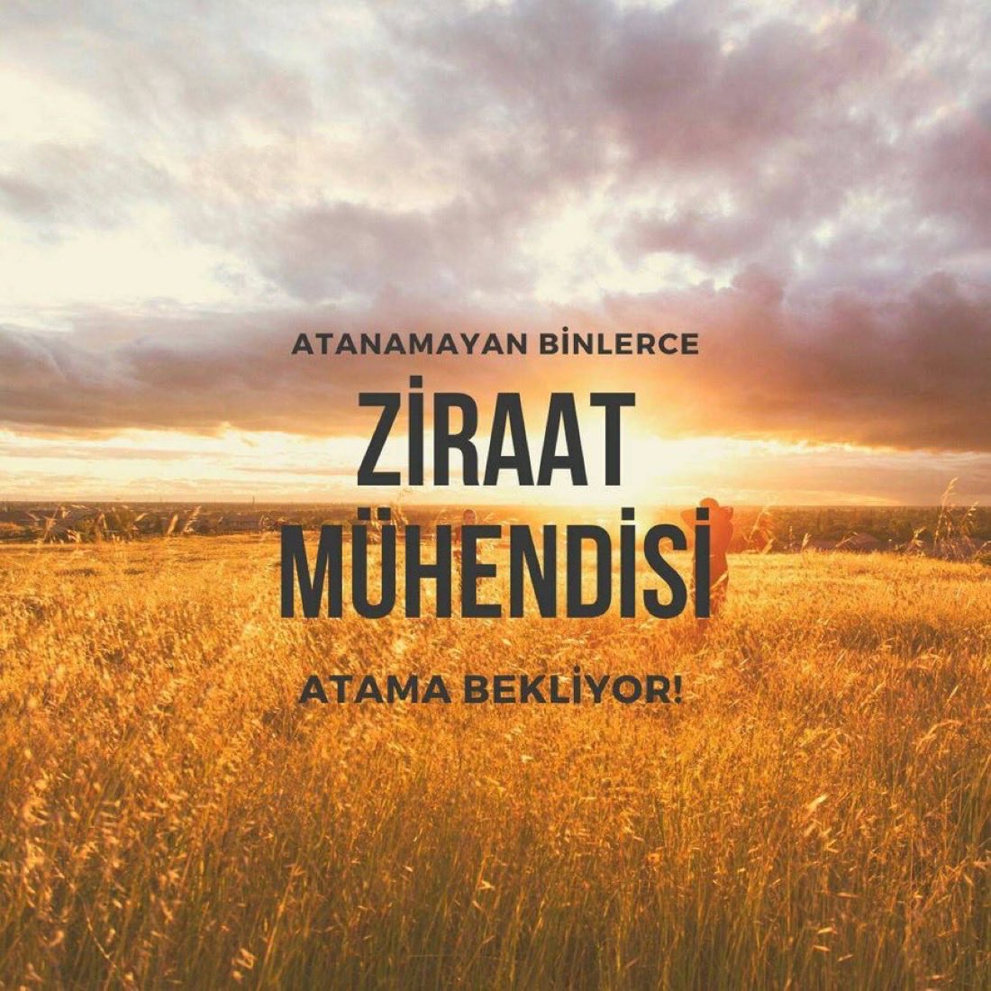 eliifkmm's tweet photo. @2024Ziraat Ziraat Mühendisleri ülke tarımının kalkınması ve gelişmesi için atama bekliyor 🇹🇷

#ZiraatMühendisleriAtamaBekliyor

#TarımBakanlığınaAtamaNeZaman

@RTErdogan 
@TCTarim 
@memetsimsek 
@ibrahimyumakli 
@ahmtbgc 
@tarimormanpgm 
@Seyfullahaslntk 
@kerimgullu07 
@2024Ziraat https://t.co/LNxw6S3734