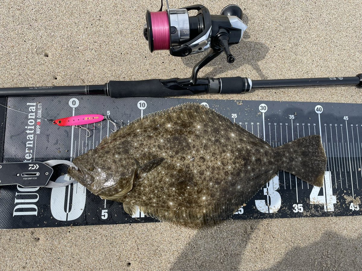 BB47OSP's tweet photo. ワールドカップ観ずに海来て良かった🙌
同じ離岸流からまさかの4連発！！
魚寄ってればサーフってこんなにも楽しい釣りなのね🎣笑 https://t.co/OymeWIApvO