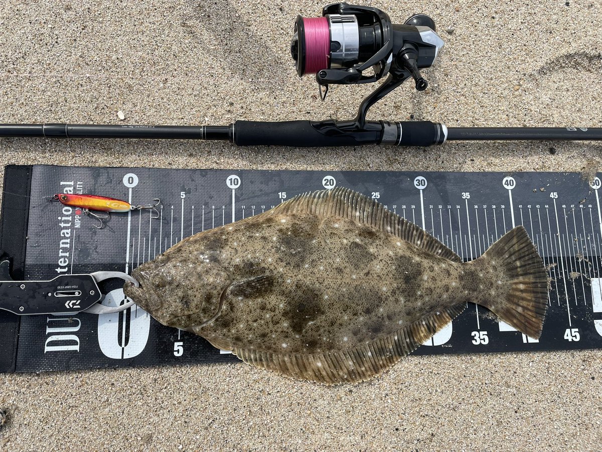 BB47OSP's tweet photo. ワールドカップ観ずに海来て良かった🙌
同じ離岸流からまさかの4連発！！
魚寄ってればサーフってこんなにも楽しい釣りなのね🎣笑 https://t.co/OymeWIApvO