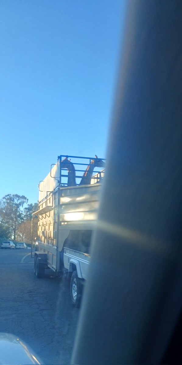 Ke_Fofo's tweet photo. Matona a goga bo thutlwa ka land cruiser. Eseng a shupang botona ka majalwa https://t.co/HjahFrchUd
