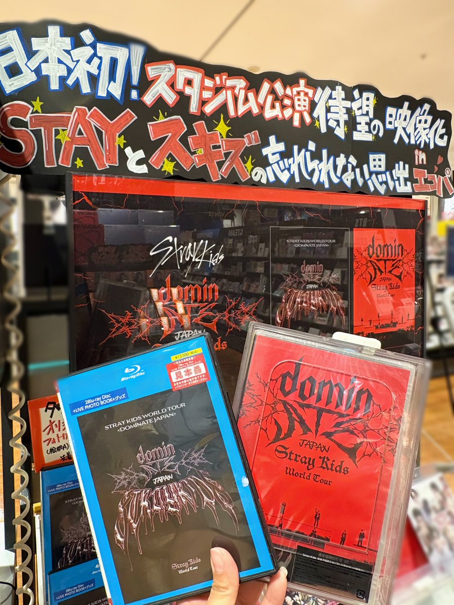 StrayKids】 ／ ライブBlu-ray 「Stray Kids World Tour ＜dominATE