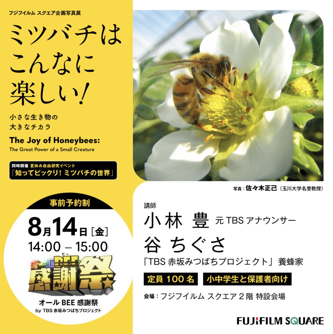 受付開始しました！ 先着100名・事前予約制です🐝🌻 受付はこちらから