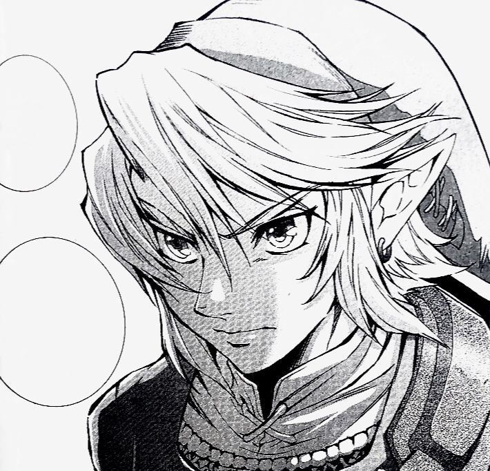Happy_Bullets's tweet photo. Link looked so sick in the TP manga https://t.co/f4E9LcOECw