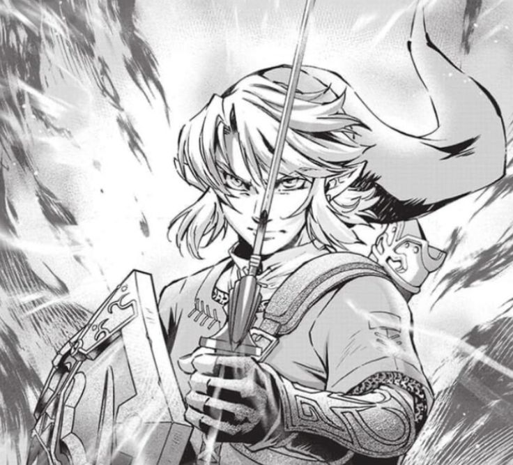 Happy_Bullets's tweet photo. Link looked so sick in the TP manga https://t.co/f4E9LcOECw