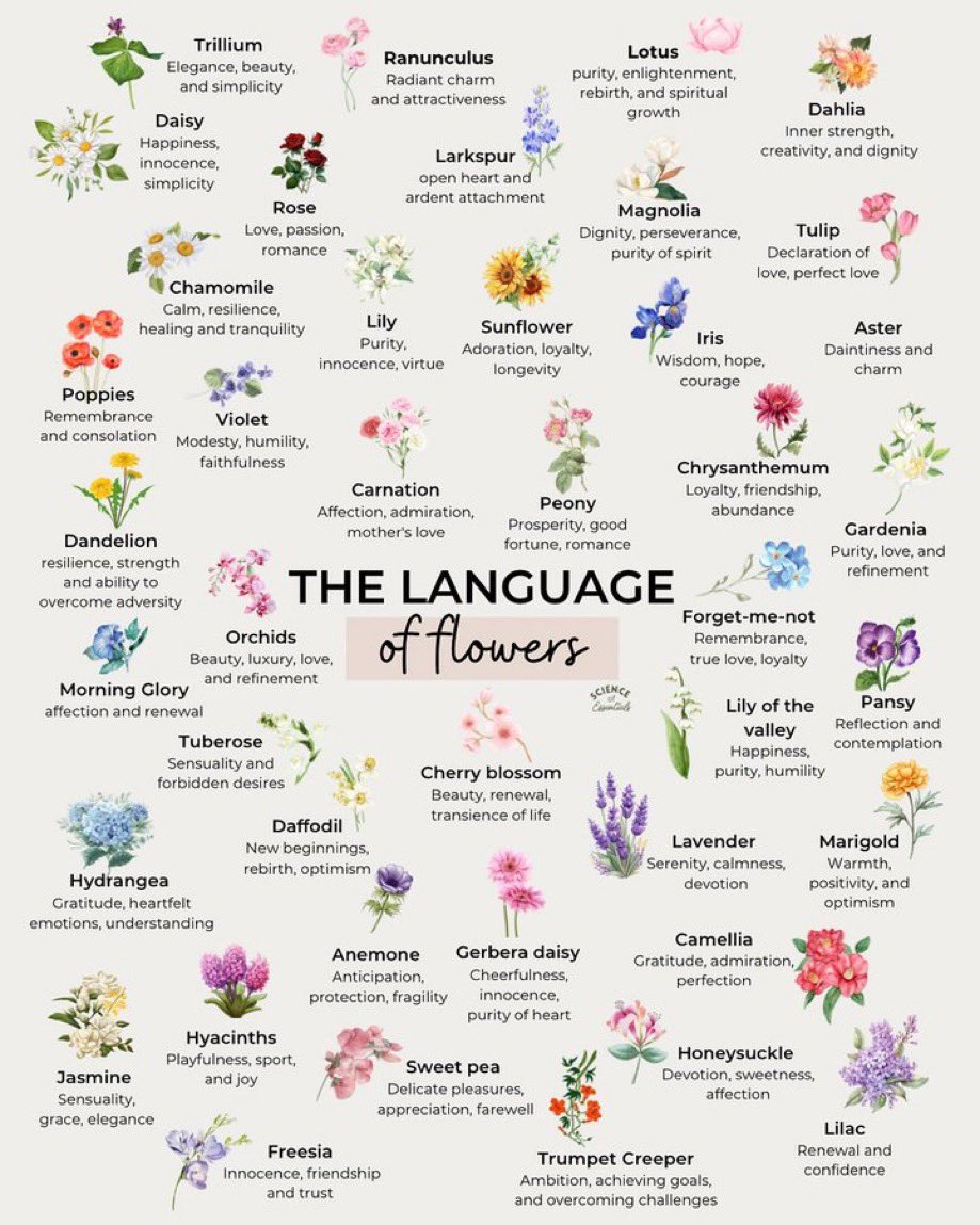 Floral Vibes 🌺✨ tweet media