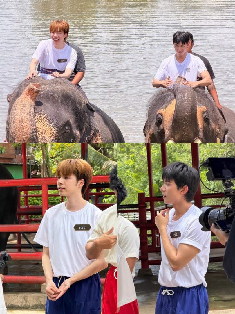 Mommydmill's tweet photo. waiting list (๑˃ᴗ˂)ﻭ
- คุณพระช่วย
- กตัญญูทูไน้ 

#NetSiraphop ᰔᩚ #jj_rcp
#NetJJ 🖤🥕⋆˚ https://t.co/5o68pBxG2d