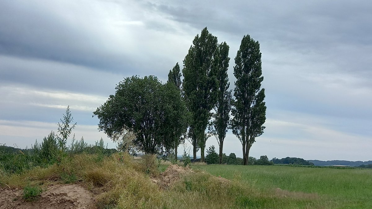 FNuffel's tweet photo. #vrtweer 10u31 Gooik https://t.co/00MrHKuIYt