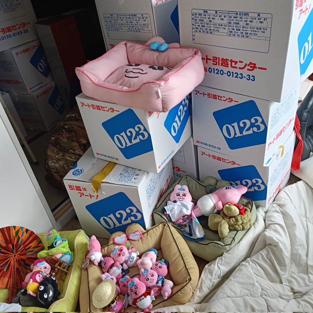 chan515883's tweet photo. 新たな住処に着きまちた…
ダンボール箱の山でちゅ😵
居候に任せまちゅ👋🏻🐰 https://t.co/UMn5nWJOOk