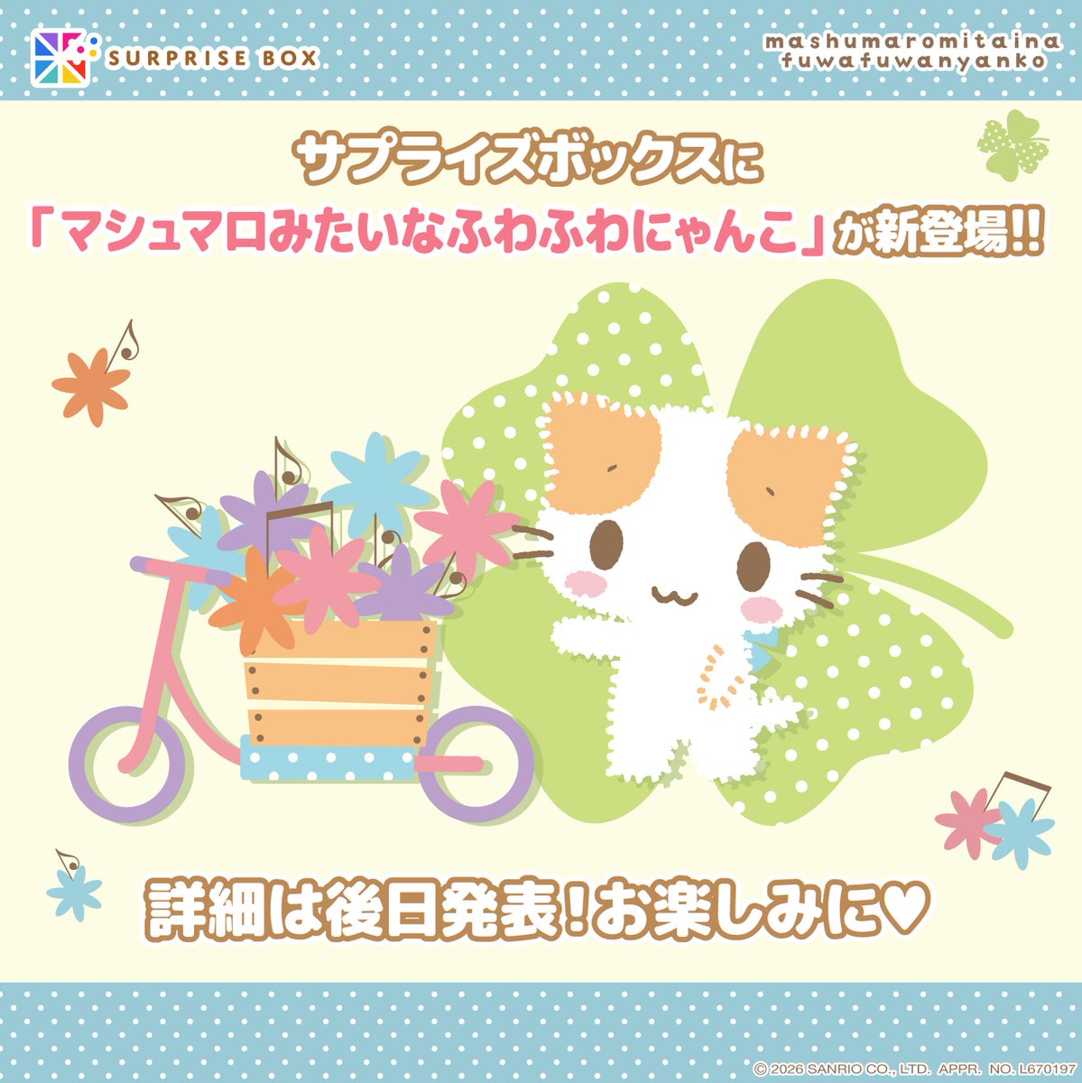 📢＃マシュマロみたいなふわふわにゃんこ が ＃サプライズボックス に