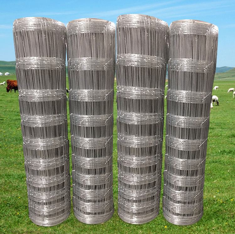 JoinwewireMesh's tweet photo. field cattle fence wire mesh for farming. https://t.co/XM9SKvOW22