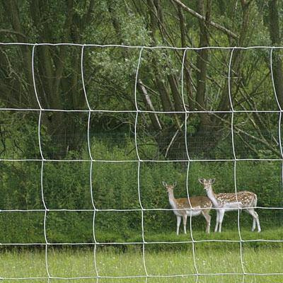 JoinwewireMesh's tweet photo. field cattle fence wire mesh for farming. https://t.co/XM9SKvOW22