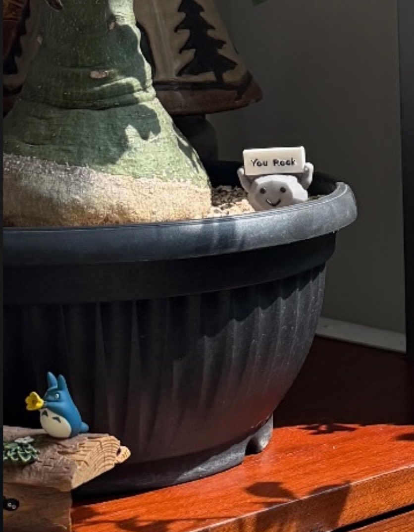CloudQueen__'s tweet photo. El detalle de la roca que dice “you rock” en la maceta jajaj Yesung presta tanta atención a los detalles y la decoración, se está tomando todo muy en serio pero esto me encantó jaja https://t.co/Wv39MfC4La