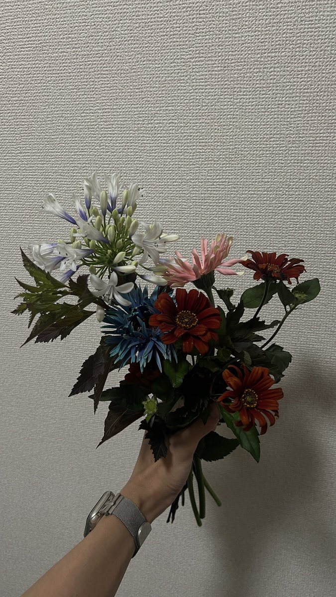 Yo_4o1's tweet photo. 何も無い日の花束 https://t.co/ERNIauZsZ8